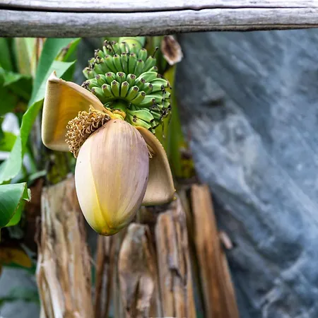 Casa-castagna Pianterreno