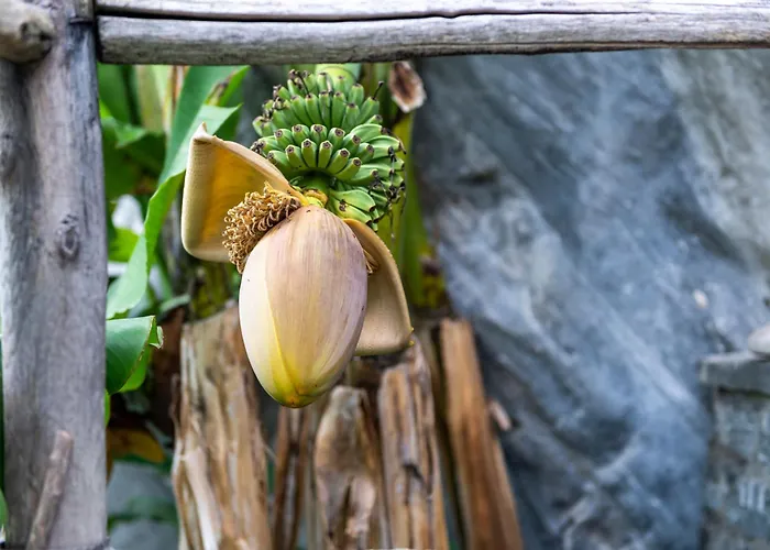 Casa-castagna Pianterreno